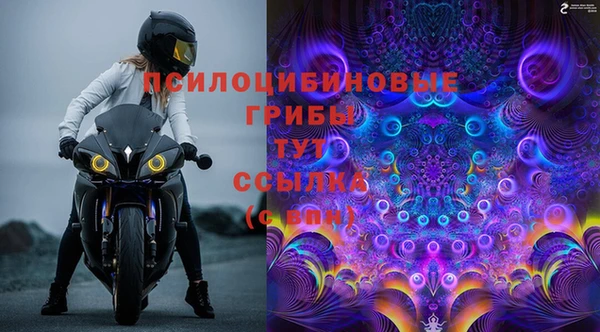 дживик Богородск