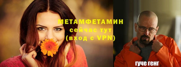 дживик Богородск