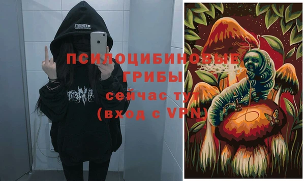 прущий лед Богданович
