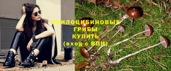 гидропоника Богородицк