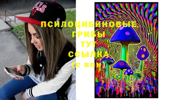 бошки Беломорск