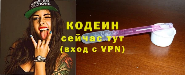 прущий лед Богданович